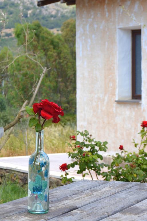 Agriturismo Rubinu Galtellì 客房 照片