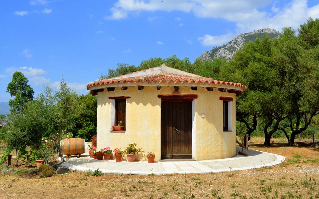 Agriturismo Rubinu Galtellì 客房 照片